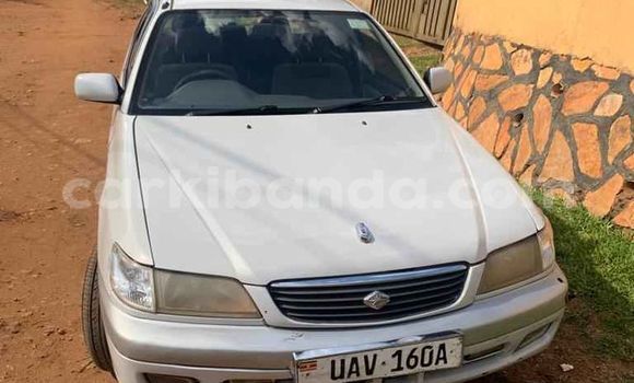 Buy Used Toyota Premio White Car in Kampala in Uganda
