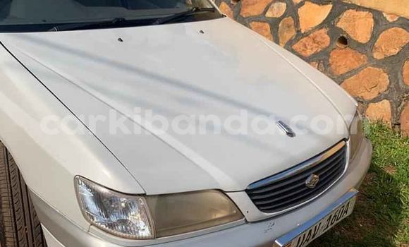 Buy Used Toyota Premio White Car in Kampala in Uganda Buy Used Toyota Premio White Car in Kampala in Uganda