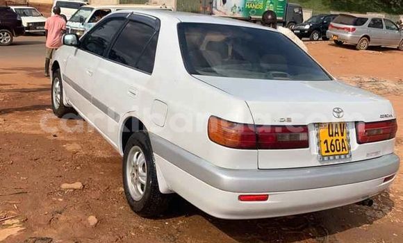 Buy Used Toyota Premio White Car in Kampala in Uganda Buy Used Toyota Premio White Car in Kampala in Uganda