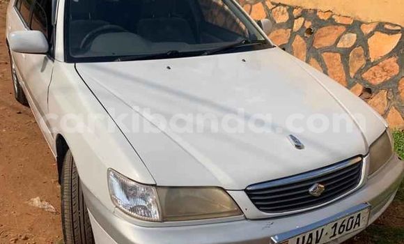 Buy Used Toyota Premio White Car in Kampala in Uganda Buy Used Toyota Premio White Car in Kampala in Uganda