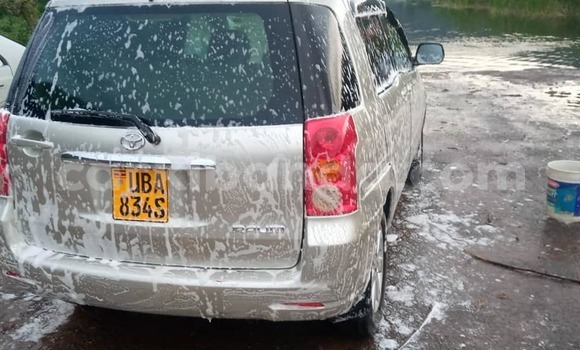 Buy Used Toyota Raum Beige Car in Kampala in Uganda