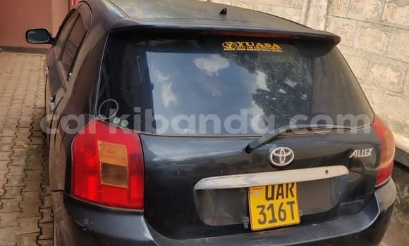 Buy Used Toyota Allex Black Car in Kampala in Uganda Buy Used Toyota Allex Black Car in Kampala in Uganda