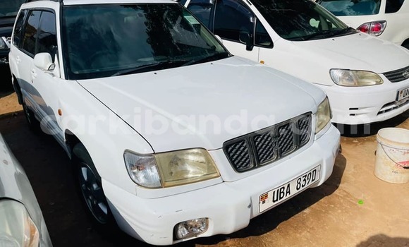 Gura Yakoze Subaru Forester White Imodoka i Kampala mu Uganda Gura Yakoze Subaru Forester White Imodoka i Kampala mu Uganda