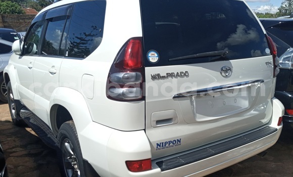 Acheter Import Voiture Toyota Land Cruiser Prado Blanc à Kampala, Ouganda Acheter Import Voiture Toyota Land Cruiser Prado Blanc à Kampala, Ouganda