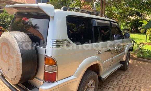 Buy Used Toyota Prado Silver Car in Kampala in Uganda