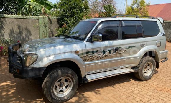 Buy Used Toyota Prado Silver Car in Kampala in Uganda Buy Used Toyota Prado Silver Car in Kampala in Uganda