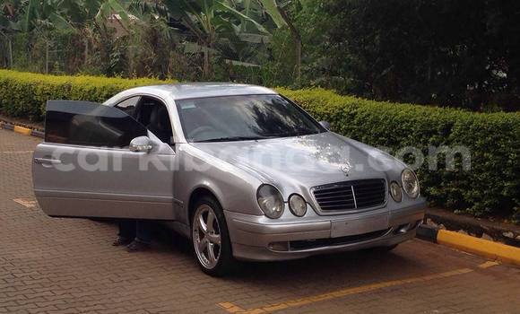 Buy Used Mercedes‒Benz CLK–Class Silver Car in Kampala in Uganda