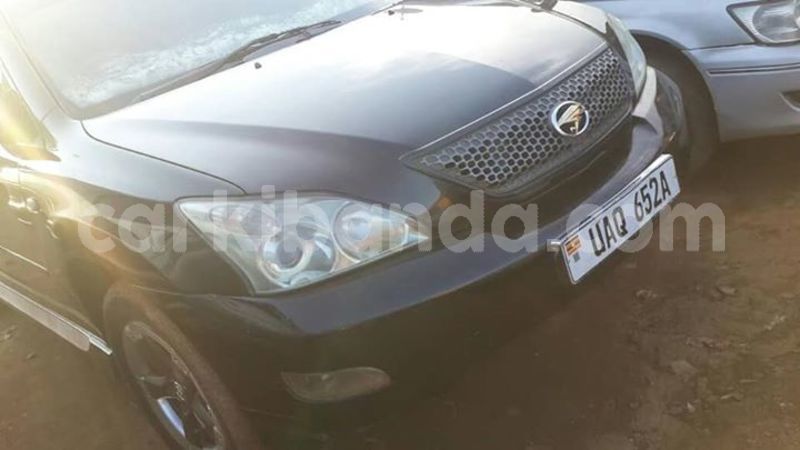 Big with watermark 30629329 194112211393369 244064733525704704 n