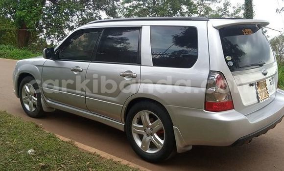 Gura Yakoze Subaru Forester Silver Imodoka i Kampala mu Uganda Gura Yakoze Subaru Forester Silver Imodoka i Kampala mu Uganda