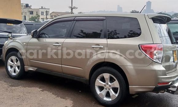 Buy Used Subaru Forester Brown Car in Kampala in Uganda