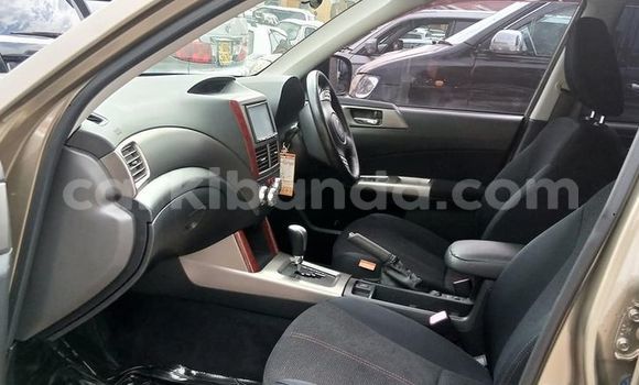 Gura Yakoze Subaru Forester Brown Imodoka i Kampala mu Uganda Gura Yakoze Subaru Forester Brown Imodoka i Kampala mu Uganda
