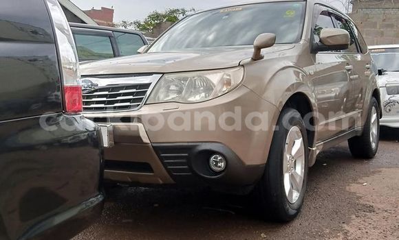 Gura Yakoze Subaru Forester Brown Imodoka i Kampala mu Uganda Gura Yakoze Subaru Forester Brown Imodoka i Kampala mu Uganda