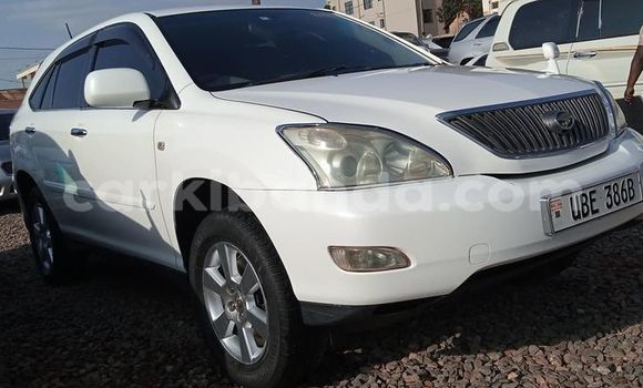 Buy Used Toyota Harrier White Car in Kampala in Uganda