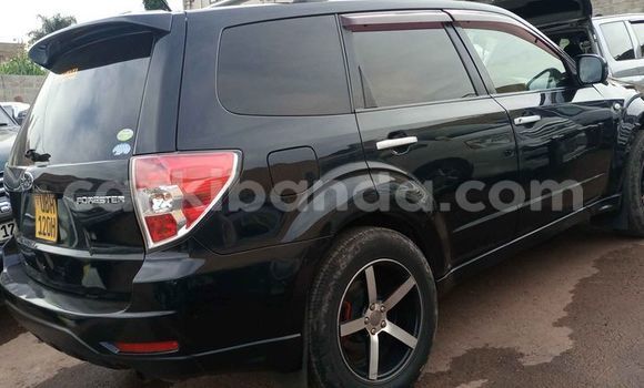 Gura Yakoze Subaru Forester Black Imodoka i Kampala mu Uganda Gura Yakoze Subaru Forester Black Imodoka i Kampala mu Uganda