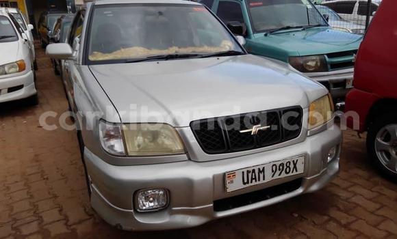 Buy Used Subaru Forester Silver Car in Kampala in Uganda