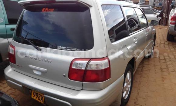 Gura Yakoze Subaru Forester Silver Imodoka i Kampala mu Uganda Gura Yakoze Subaru Forester Silver Imodoka i Kampala mu Uganda