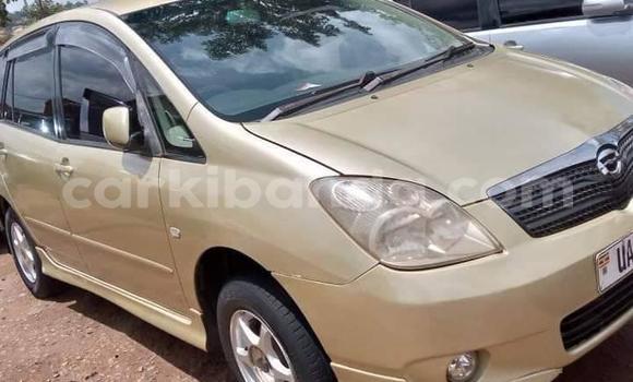 Buy Used Toyota Spacio Brown Car in Kampala in Uganda Buy Used Toyota Spacio Brown Car in Kampala in Uganda