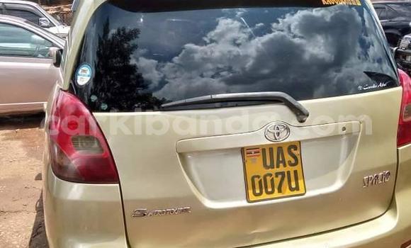 Buy Used Toyota Spacio Brown Car in Kampala in Uganda Buy Used Toyota Spacio Brown Car in Kampala in Uganda