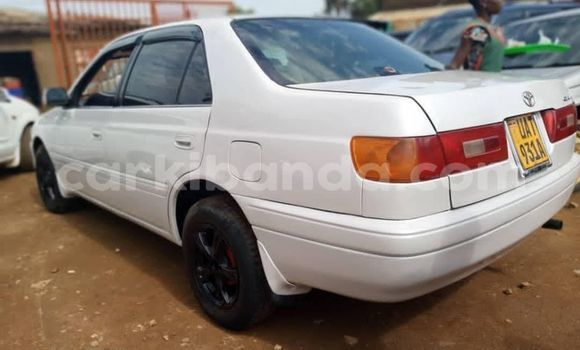 Buy Used Toyota Premio White Car in Kampala in Uganda Buy Used Toyota Premio White Car in Kampala in Uganda
