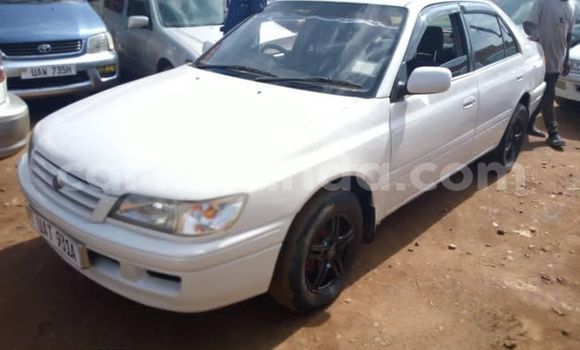 Buy Used Toyota Premio White Car in Kampala in Uganda Buy Used Toyota Premio White Car in Kampala in Uganda