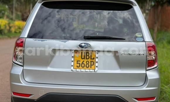 Acheter Occasion Voiture Subaru Forester Gris à Kampala, Ouganda Acheter Occasion Voiture Subaru Forester Gris à Kampala, Ouganda