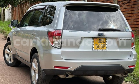 Acheter Occasion Voiture Subaru Forester Gris à Kampala, Ouganda Acheter Occasion Voiture Subaru Forester Gris à Kampala, Ouganda