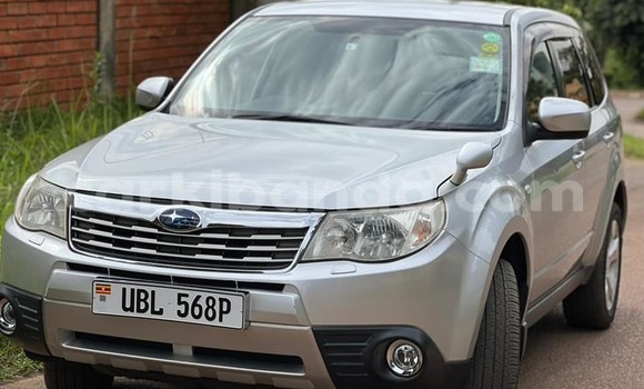 Acheter Occasion Voiture Subaru Forester Gris à Kampala, Ouganda Acheter Occasion Voiture Subaru Forester Gris à Kampala, Ouganda