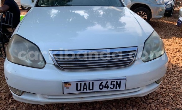 Buy Used Toyota Mark II White Car in Kampala in Uganda