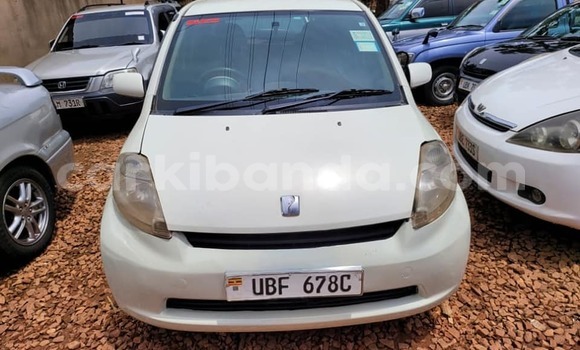 Buy Used Toyota Passo White Car in Kampala in Uganda