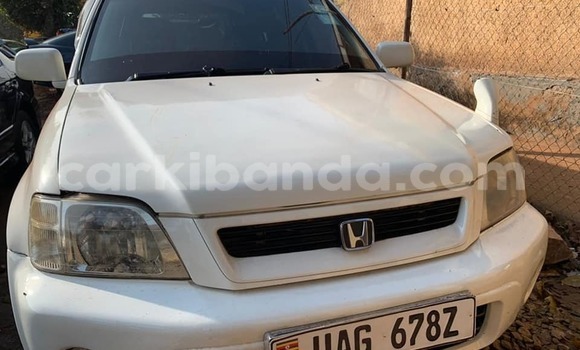 Buy Used Honda CR–V White Car in Kampala in Uganda