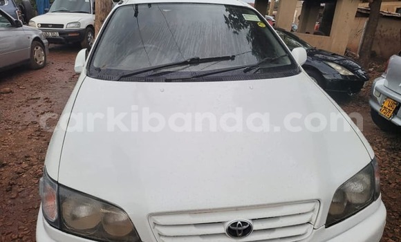 Buy Used Toyota Ipsum White Car in Kampala in Uganda