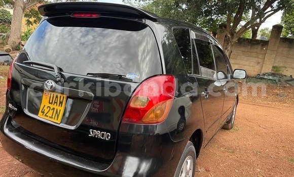 Acheter Occasion Voiture Toyota Spacio Noir à Kampala, Ouganda Acheter Occasion Voiture Toyota Spacio Noir à Kampala, Ouganda