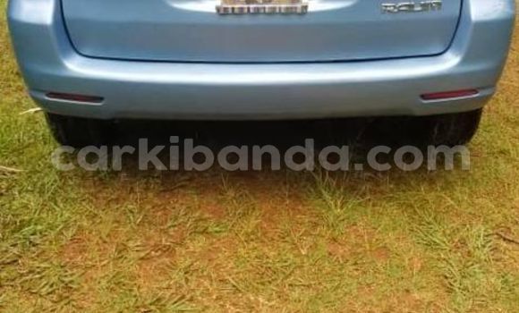 Acheter Occasion Voiture Toyota Raum Bleu à Kampala, Ouganda Acheter Occasion Voiture Toyota Raum Bleu à Kampala, Ouganda