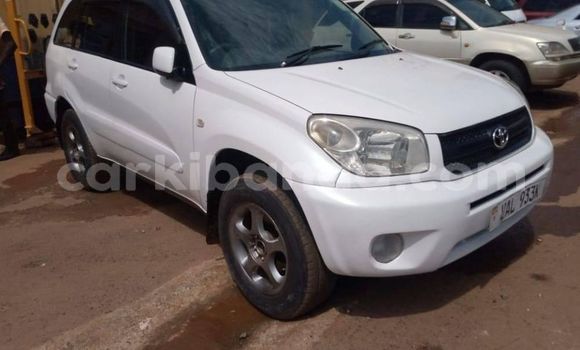 Nunua Ilio tumika Toyota RAV4 Nyeupe Gari ndani ya Kampala nchini Uganda