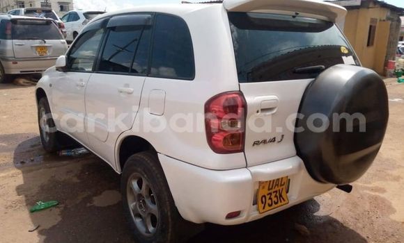 Buy Used Toyota RAV4 White Car in Kampala in Uganda Buy Used Toyota RAV4 White Car in Kampala in Uganda