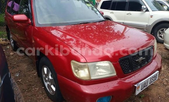 Buy Used Subaru Forester Red Car in Kampala in Uganda
