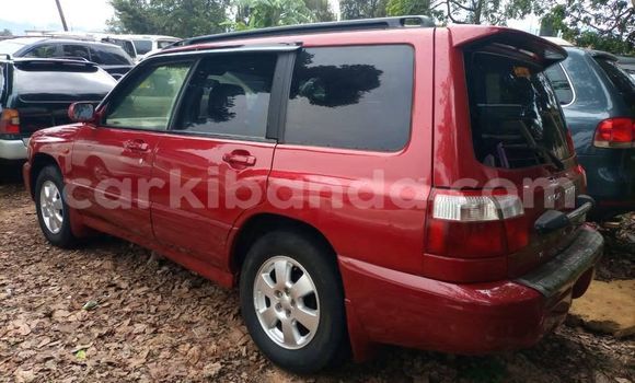 Buy Used Subaru Forester Red Car in Kampala in Uganda Buy Used Subaru Forester Red Car in Kampala in Uganda