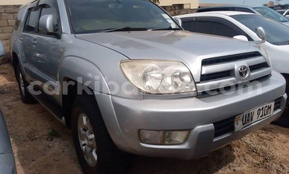 Nunua Ilio tumika Toyota Hilux Fedha Gari ndani ya Kampala nchini Uganda Nunua Ilio tumika Toyota Hilux Fedha Gari ndani ya Kampala nchini Uganda
