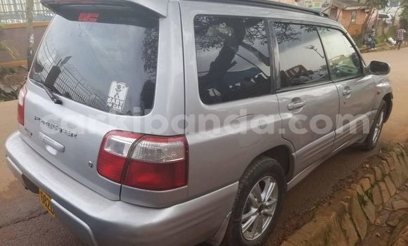 Buy Used Subaru Forester Silver Car in Kampala in Uganda Buy Used Subaru Forester Silver Car in Kampala in Uganda