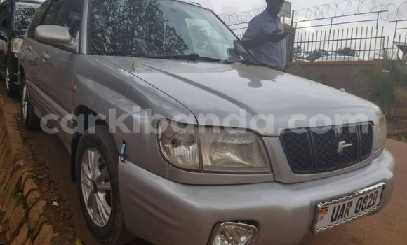 Buy Used Subaru Forester Silver Car in Kampala in Uganda Buy Used Subaru Forester Silver Car in Kampala in Uganda