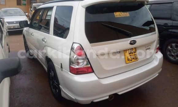 Buy Used Subaru Forester White Car in Kampala in Uganda