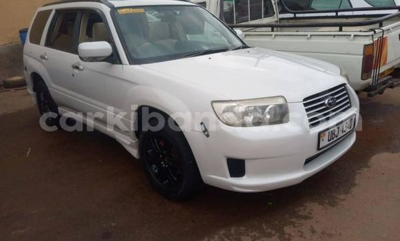 Buy Used Subaru Forester White Car in Kampala in Uganda Buy Used Subaru Forester White Car in Kampala in Uganda
