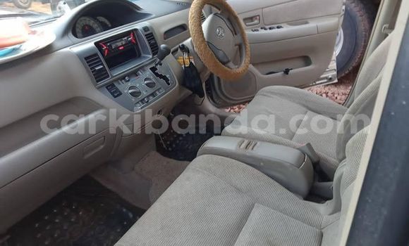 Buy Used Toyota Raum Silver Car in Kampala in Uganda Buy Used Toyota Raum Silver Car in Kampala in Uganda