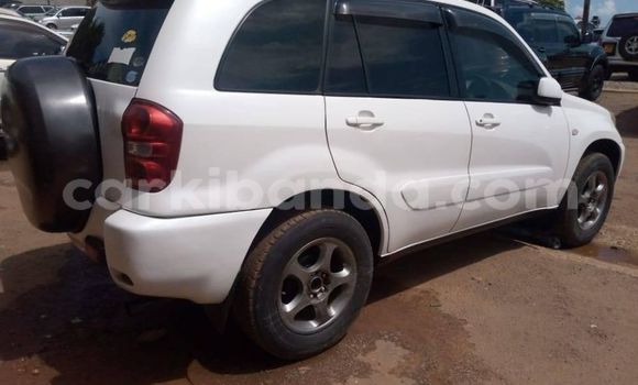 Buy Used Toyota RAV4 White Car in Kampala in Uganda Buy Used Toyota RAV4 White Car in Kampala in Uganda
