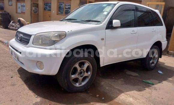 Buy Used Toyota RAV4 White Car in Kampala in Uganda Buy Used Toyota RAV4 White Car in Kampala in Uganda