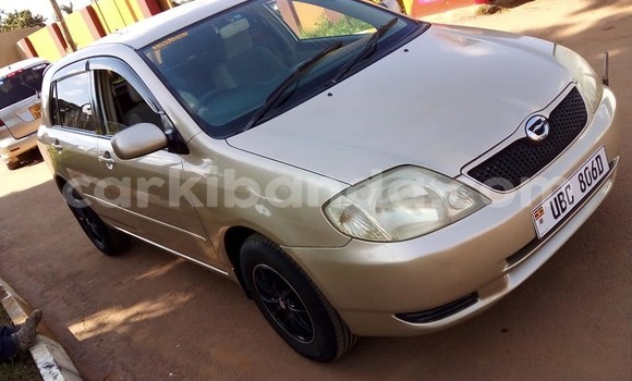 Buy Used Toyota Runx Brown Car in Kampala in Uganda