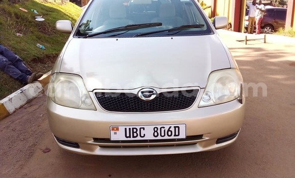 Acheter Occasion Voiture Toyota Runx Marron à Kampala, Ouganda Acheter Occasion Voiture Toyota Runx Marron à Kampala, Ouganda