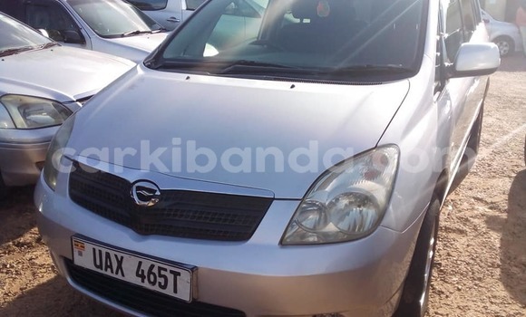 Nunua Ilio tumika Toyota Spacio Fedha Gari ndani ya Kampala nchini Uganda Nunua Ilio tumika Toyota Spacio Fedha Gari ndani ya Kampala nchini Uganda