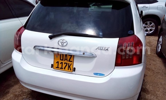 Acheter Occasion Voiture Toyota Allex Blanc à Kampala, Ouganda Acheter Occasion Voiture Toyota Allex Blanc à Kampala, Ouganda