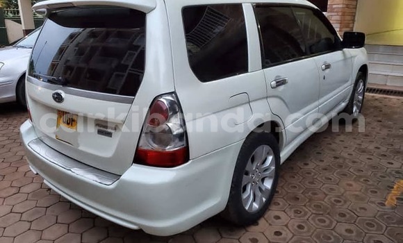 Gura Yakoze Subaru Forester White Imodoka i Kampala mu Uganda Gura Yakoze Subaru Forester White Imodoka i Kampala mu Uganda